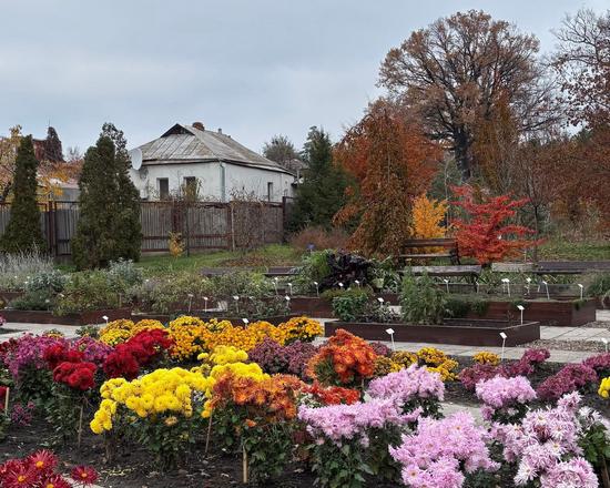 Colorful Autumn in the Kharkiv Botanical Garden, Kharkiv, Ukraine, photo 1