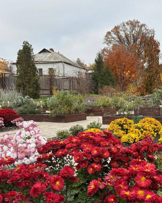 Colorful Autumn in the Kharkiv Botanical Garden, Kharkiv, Ukraine, photo 10