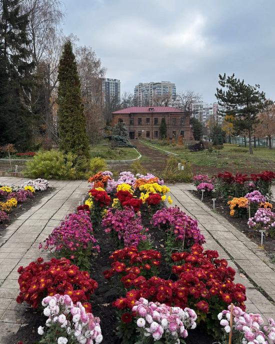 Colorful Autumn in the Kharkiv Botanical Garden, Kharkiv, Ukraine, photo 11