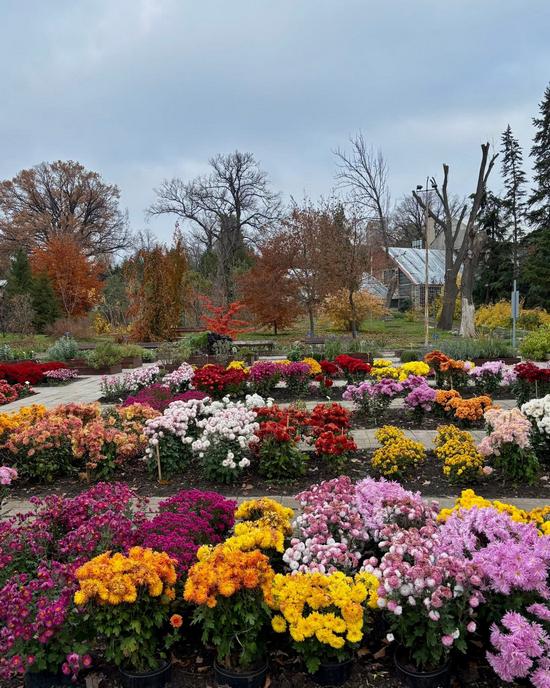 Colorful Autumn in the Kharkiv Botanical Garden, Kharkiv, Ukraine, photo 2