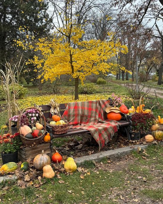 Colorful Autumn in the Kharkiv Botanical Garden, Kharkiv, Ukraine, photo 3