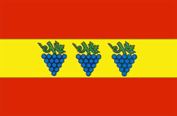 Bilhorod-Dnistrovskyi city flag
