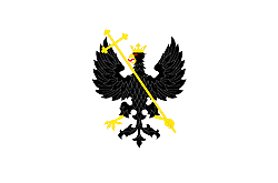 Chernihiv city flag