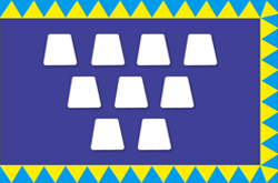 Drohobych city flag