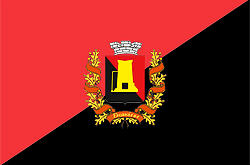 Enakievo city flag
