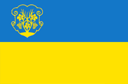 Uzhgorod city flag