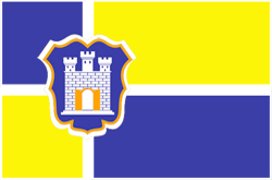 Zhitomir city flag