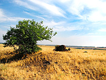 Donetsk region landscape