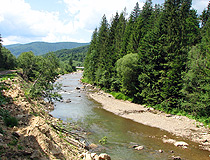 Small river in the Ivano-Frankivsk region
