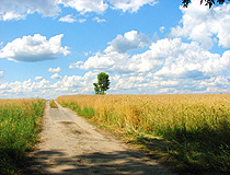 Rural road in Kyiv Oblast