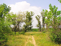 Lugansk oblast nature
