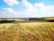 Fields of the Lugansk region