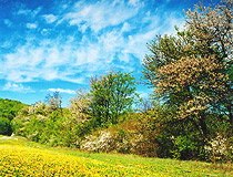 Spring in Lviv Oblast
