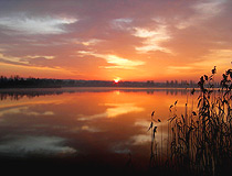 Sunset in the Odessa region