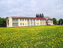 Field of dandelions in Poltava