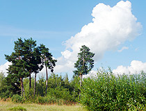 Sumy Oblast scenery