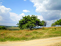 Vinnytsia region landscape