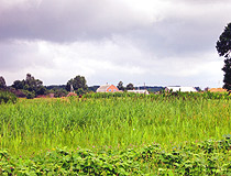Rural landscape in the Volyn region