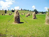Haystacks in the Zakarpattia region