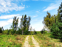 Rural road in the Zhytomyr region