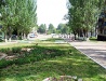 In the center of Bryanka