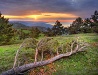 Crimea scenery