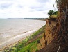 Donetsk Oblast landscape