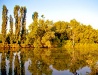 Nature of the Kirovohrad Region
