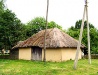 Typical old rural building in Poltava Oblast