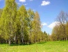 Summer in Rivne Oblast