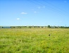 One sunny day in the Sumy region