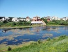 Private houses on the bank of a small river in the Sumy region