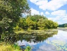 On the river bank in Zhytomyr Oblast