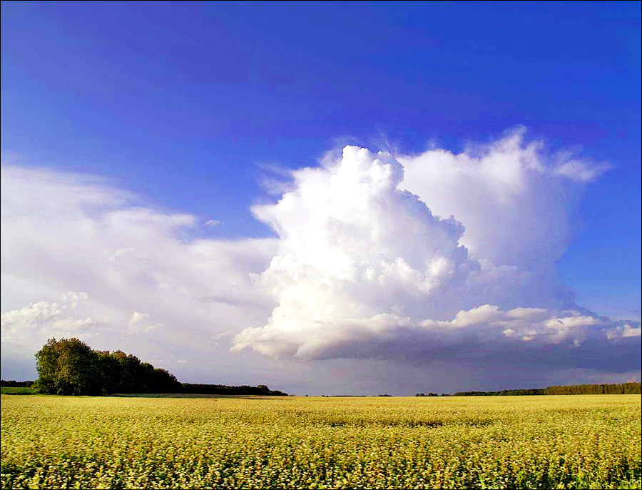 Poltava Oblast Ukraine Guide